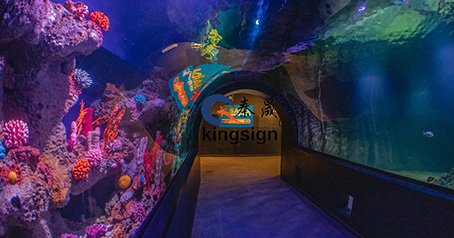 Tunnel d'aquarium.