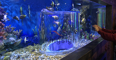 Projet d'aquarium souterrain de l'océan Wuxi.