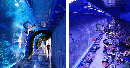 Projet de tunnel d'aquarium océanique.