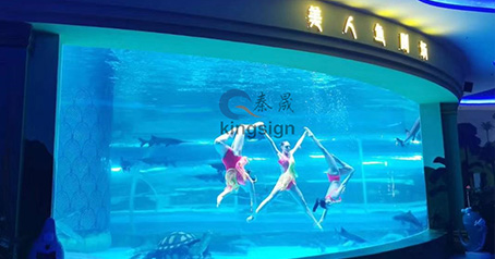 Projet d'aquarium océanique.