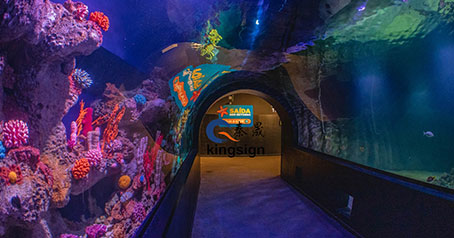 Projet d'aquarium océanique.
