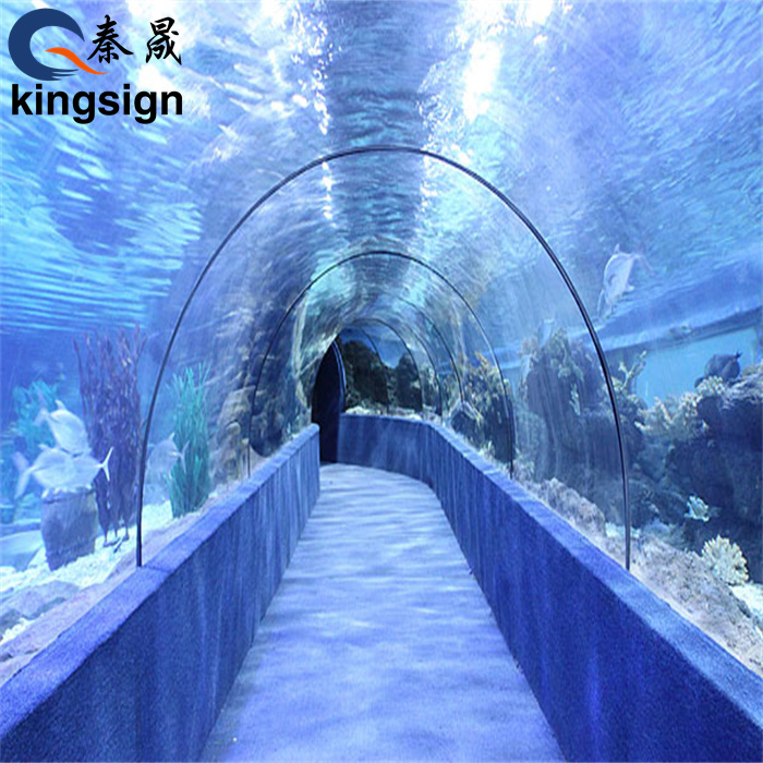 Le tunnel sous-marin en acrylique vous emmène au fond de l'eau