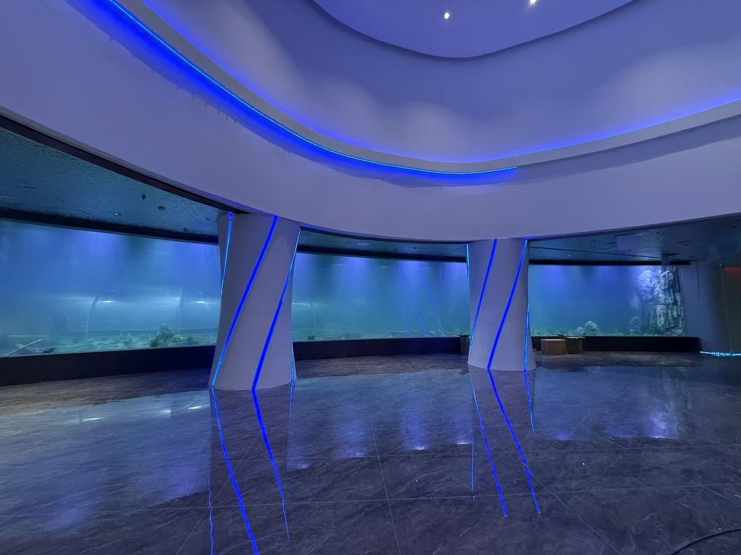 Quels sont les avantages de la feuille acrylique dans les grandes fenêtres d'aquarium?